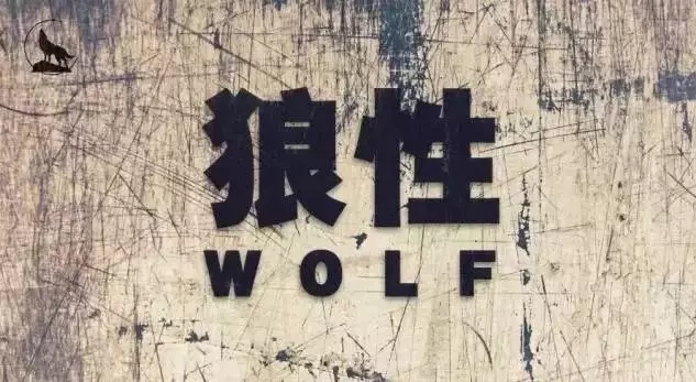 6 2.webp.jpg 6 2.webp.jpg